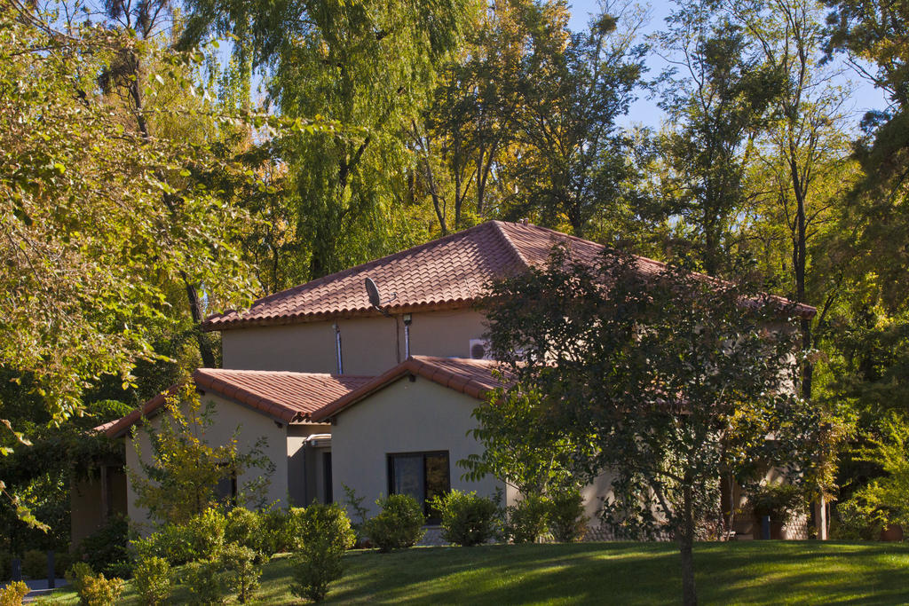 Posada Salentein Los Arboles Номер фото