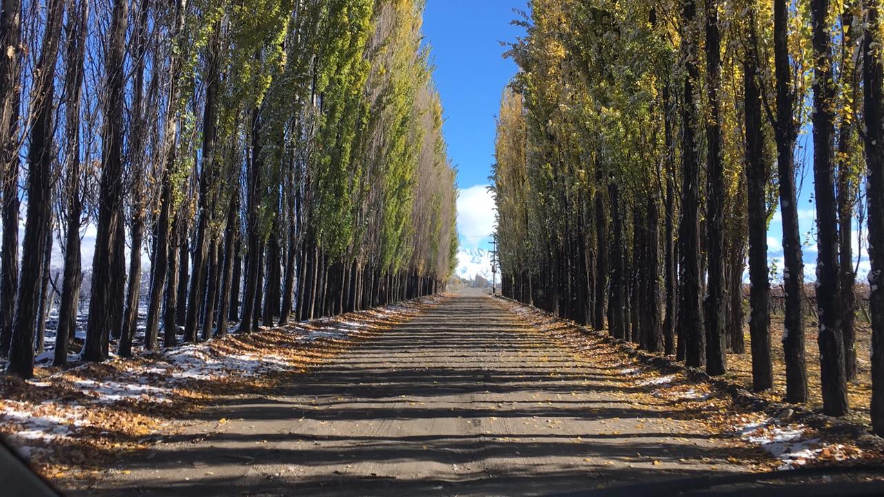 Posada Salentein Los Arboles Екстер'єр фото